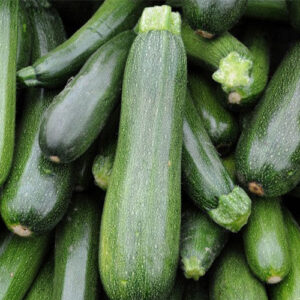 Zucchini