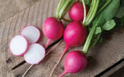 Roasted Pink Radishes