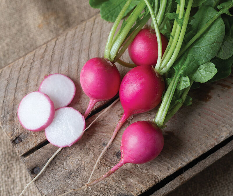 Roasted Pink Radishes