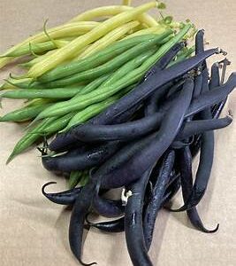 Beans